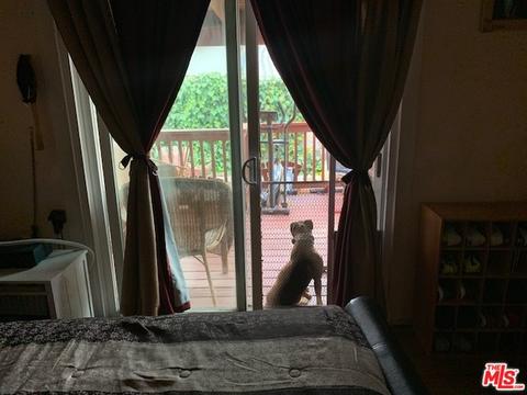 5285 El Morado St, Montclair, CA 91763 photo 3