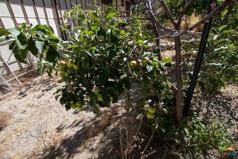 49038 Vista Dr, Morongo Valley, CA 92256 photo 43