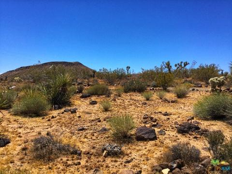 2021 Inca, Yucca Valley, CA 92284 photo 24