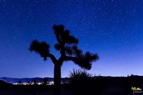 60525 Security Dr, Joshua Tree, CA 92252 photo 38