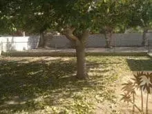 37234 55th St E, Palmdale, CA 93552 photo 19