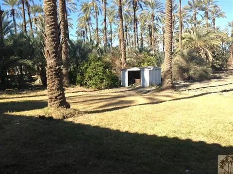 85680 Middleton, Thermal, CA 92274 photo 13