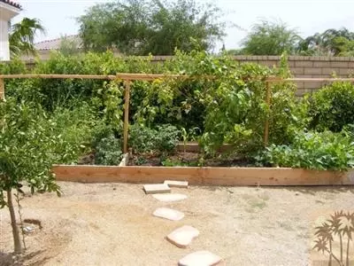 80316 Amazon Ave, Indio, CA 92201 photo 7