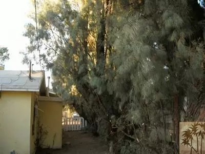 50430 Dolores Ave, Cabazon, CA 92230 photo 4