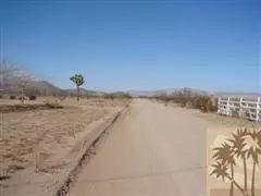 222 Mallow Rd, Landers, CA 92285 photo 4
