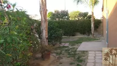 81117 Pindo Dr, Indio, CA 92201 photo 7