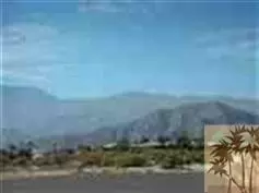 49431 Braley Ct, Indio, CA 92201 photo 2
