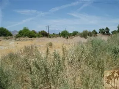 49041 Braley Ct, Indio, CA 92201 photo 4