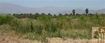 56675 Harrison St, Thermal, CA 92274 photo 9