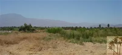 56675 Harrison St, Thermal, CA 92274 photo 5