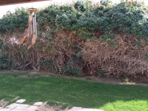 82065 Sundown Ct, Indio, CA 92201 photo 15