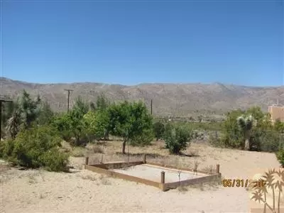 8526 Old Vine Rd, Joshua Tree, CA 92252 photo 3