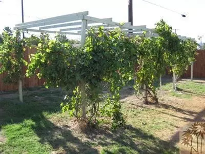 83308 Dillon Ave, Indio, CA 92201 photo 5