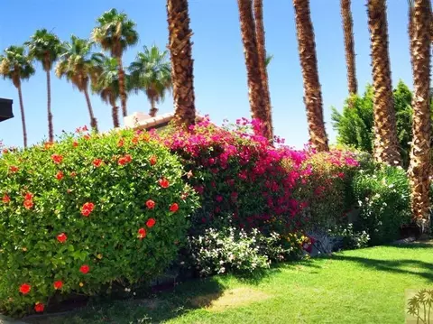 73571 Haystack Rd, Palm Desert, CA 92260 photo 7