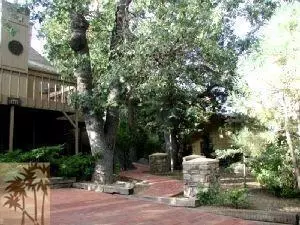 53320 Double View Dr, Idyllwild, CA 92549 photo 2
