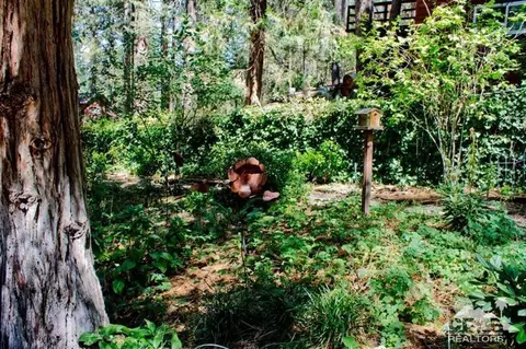 52632 Chickadee Ln, Idyllwild, CA 92549 photo 19