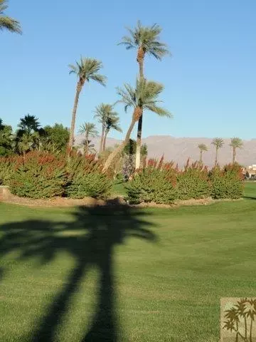 48861 Heifitz Dr, Indio, CA 92201 photo 9
