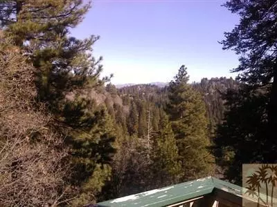 26338 Forest Ln, Twin Peaks, CA 92391 photo 4