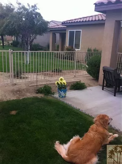 82125 Travolta Ave, Indio, CA 92201 photo 23