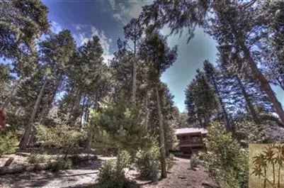 52629 Laurel Trl, Idyllwild, CA 92549 photo 2