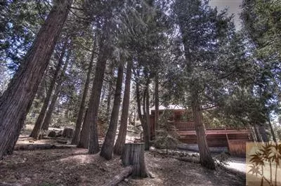 52629 Laurel Trl, Idyllwild, CA 92549 photo 3
