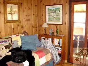 26671 Crestview Dr, Idyllwild, CA 92549 photo 15