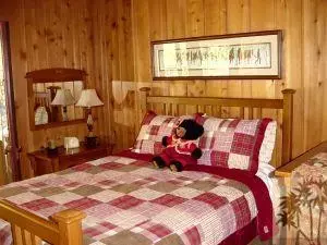 26671 Crestview Dr, Idyllwild, CA 92549 photo 11