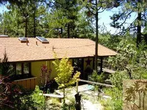 26671 Crestview Dr, Idyllwild, CA 92549 photo 18