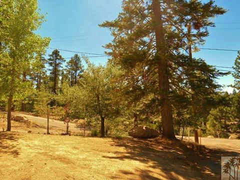 809 Talmadge Rd, Big Bear Lake, CA 92315 photo 4