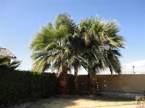 47383 Half Moon Ct, Indio, CA 92201 photo 17