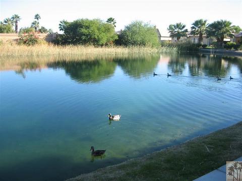 49160 Biery St, Indio, CA 92201 photo 1