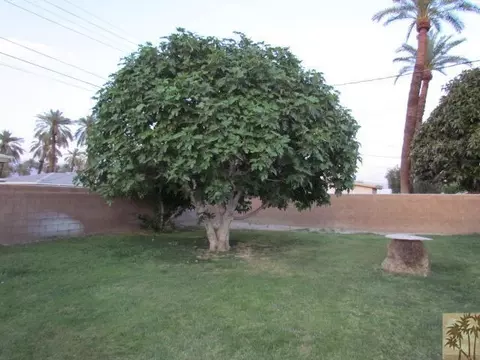 82324 Santa Rosa Ave, Indio, CA 92201 photo 20
