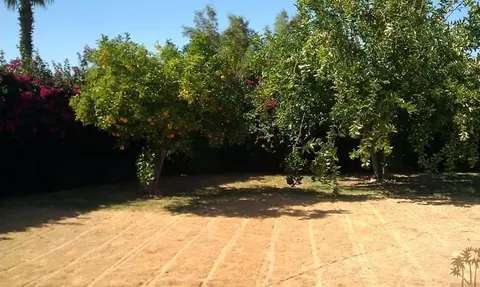 81098 King Palm Dr, Indio, CA 92201 photo 6