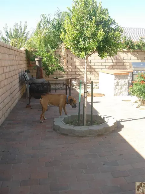 41345 Noyes Ct, Indio, CA 92203 photo 16