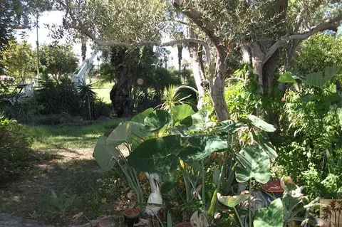 82353 Gable Dr, Indio, CA 92201 photo 18