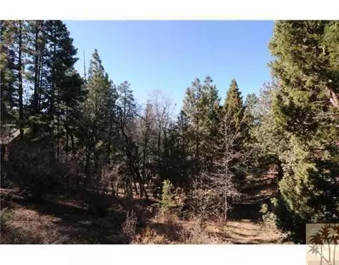 836 Ravine Rd, Big Bear City, CA 92314 photo 11