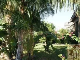 82775 Burnette Dr, Indio, CA 92201 photo 4