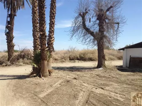 51752 Calhoun St, Indio, CA 92201 photo 13