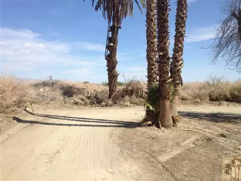 51752 Calhoun St, Indio, CA 92201 photo 11