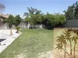 948 Ellen St, Colton, CA 92324 photo 2