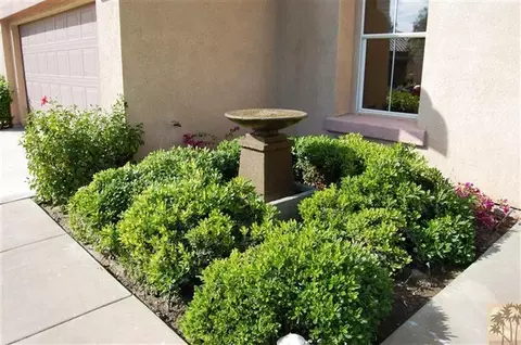 82536 Grant Dr, Indio, CA 92201 photo 9