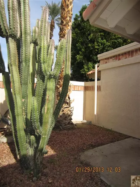 49020 Eisenhower, Indio, CA 92201 photo 12