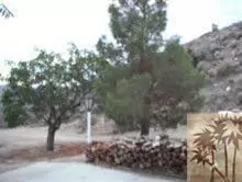 50130 Cedar Dr, Morongo Valley, CA 92256 photo 22
