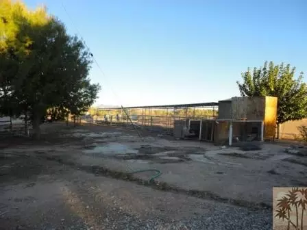 402 E 10th Ave, Blythe, CA 92225 photo 5
