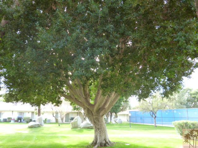 82897 Crawford, Indio, CA 92201 photo 9