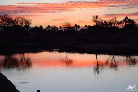 80357 Oak Tree, La Quinta, CA 92253 photo 16