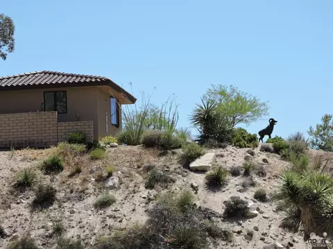 53905 Pinon Dr, Yucca Valley, CA 92284 photo 64