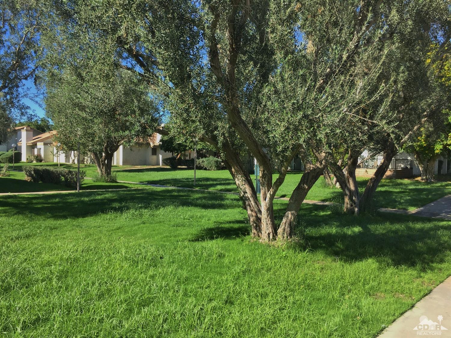 47395 Monroe St #115, Indio, CA 92201 photo 21
