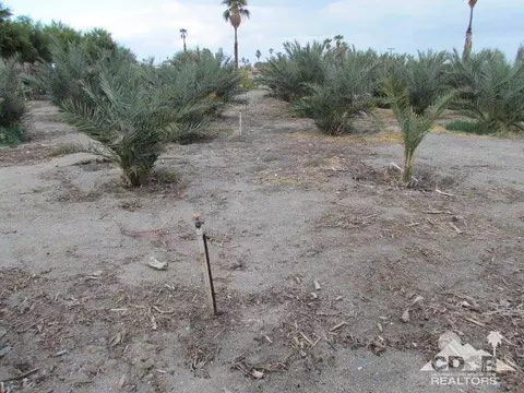 1305 Nile Dr, Thermal, CA 92274 photo 12