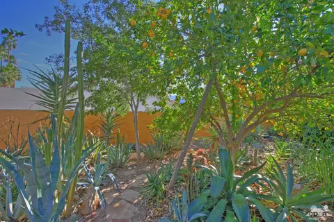 73461 Haystack Rd, Palm Desert, CA 92260 photo 36